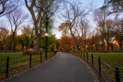 Central Park in New York City, United States of America